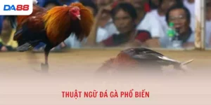 Thuật ngư đá gà phổ biến